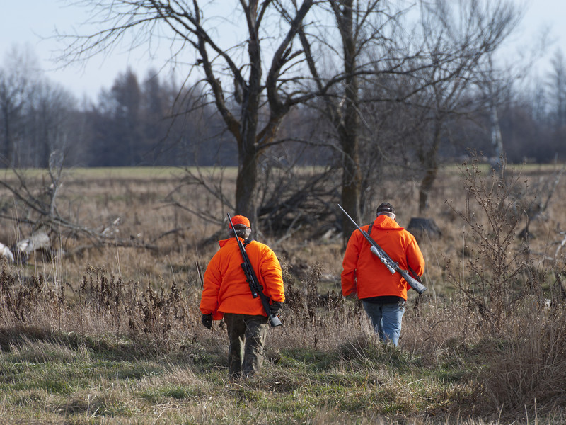 Hunters wearing orange