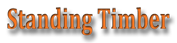 Standing Timber Insurance