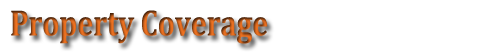 Property Coverage