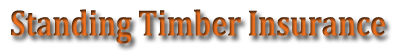 Standing Timber Insurance