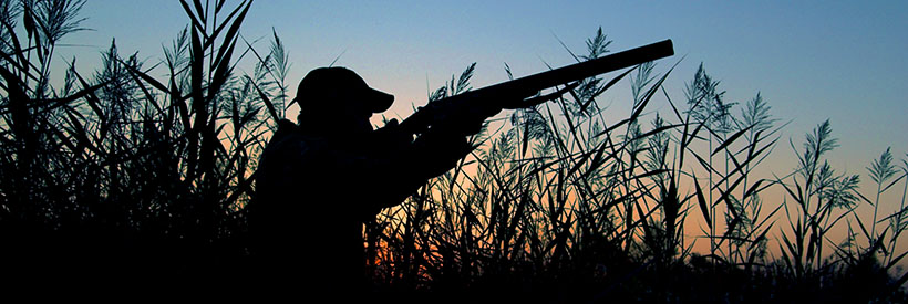 Hunting Lease Liability Insurance