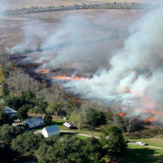 Prescribed Burning Liability
